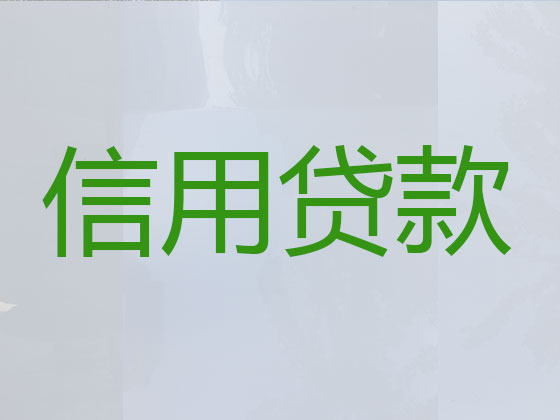 潍坊本地贷款中介公司